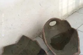 养鱼还用买鱼缸？我这鱼这里面活好几个月了图片