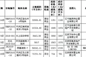 1-2月沈阳土地市场共成交地块6宗 3月老城区热地入市图片