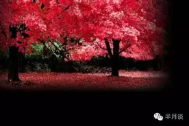 品读：我是不是老了图片