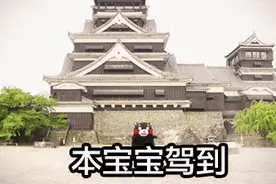 天了噜！原来卖萌才是第一生产力！图片