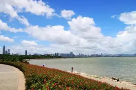 再有人问你深圳好不好，你可以这样告诉他！图片