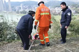 三明永安：女孩摔落半山腰被树枝卡住 消防成功救援图片