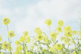 教师精彩课堂用语50句图片