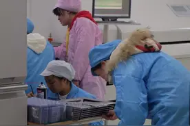 遵义：致力发展智能终端产业图片