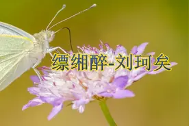 歌词很有古典韵味的一首歌《缥缃醉》，刘珂矣演唱图片