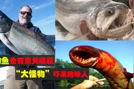 水怪来袭？垂钓者获200 斤巨型鱼吓呆地球人图片
