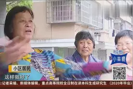 小区里面养鸡 臭味扰民谁来管？视频封面