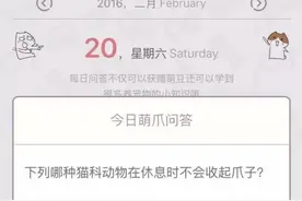 萌爪问答 | 狗狗骨折后要怎么办呢？图片