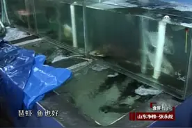 山东净雅张永舵谈创业：海鲜如何保证鲜活？听听他的妙招！