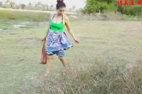 胆大美女捕的蛇为什么都是“又短又粗”的蛇，这叫什么蛇？