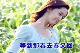 一首《只要你好好的我无所谓》超级好听