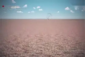 全球80亿人集合在一起需占地多少？3D动画直观告诉你视频封面
