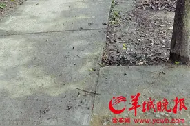 西樵山风景区外围有游客想省门票钱 贪便宜被宰又被骗图片