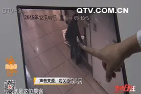 海关截获绿海龟标本 为国家二级保护动物图片