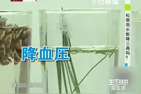 松塔泡水能降三高？其中的配方到底是什么，因人而异要注意