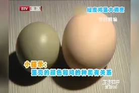 三块钱一个的野生绿皮鸡蛋，它和普通蛋有啥区别呢，来瞧瞧吧视频封面
