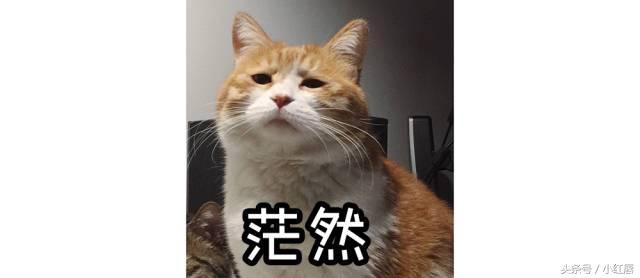 防晒到底哪一步用？正确护肤顺序你真的知道吗？