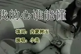 一首经典歌曲《我的心谁能懂》好听醉了视频封面