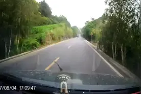 请问用蛇做标志的车是什么车，没见过，进口车吗？视频封面