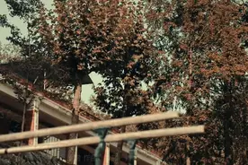 一首轻柔的歌送给广大的新兵《列兵的柔软时光》