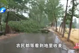 河南突遭冰雹！周口、许昌、平顶山受灾严重！农民辛苦一年打水漂视频封面