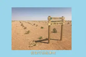 简单获取蚂蚁森林能量的方法，沙漠种树不成空想视频封面