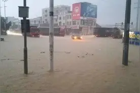 夜晚花都受到狂风暴雨的突袭视频封面