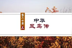  #中华凤鸟传   凤凰的产生，和伏羲女娲部落有关。作者 @南山空同 视频封面
