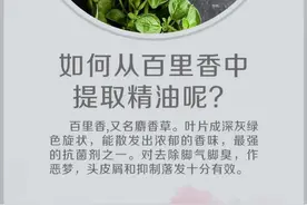 #问答c计划 # 植物中的精华是如何被提取出来的？@抖音小助手视频封面