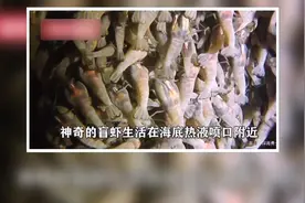 2000米下的海底什么样？深海潜水器带你一探究竟！视频封面