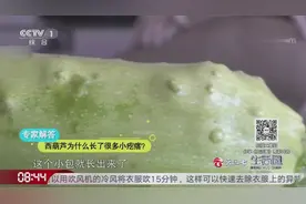 西葫芦长疙瘩是感染了花叶病毒，那食用这种西葫芦对人体有危害吗视频封面