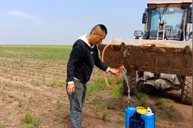 农村小伙打药刚打完没10分钟就下雨了，大家说这样还有药效吗？视频封面