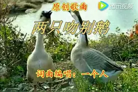 宁津农民创作吻别鹅之歌点击超万次 已作100余歌曲图片
