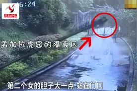 3游客为逃票翻入虎园，50米外有7只老虎视频封面