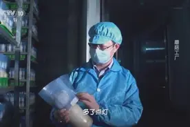 生物公司发明蘑菇工厂，流水线上种植金针菇，创造年利润达2亿元视频封面