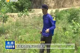 平利：老党员要求退出贫困户名单视频封面