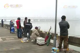 禁渔期有人开船在旌湖电鱼、网鱼？请拨2311555举报图片