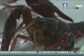 小龙虾是虫？含有重金属？实验告诉你答案