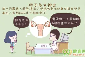 卵子多大排出图片