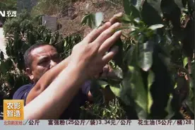 云南大旱，两个月不下雨，农民每亩能拿500块钱补贴！