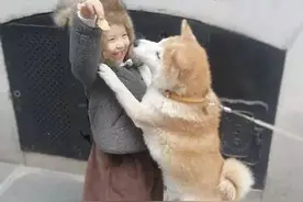 乐活萌娃和柴犬的生活日常，太有爱啦！图片