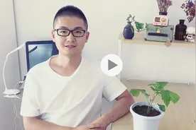 栽培的核桃终于长出来了，三年就能开花结果，小伙伴们快试试吧视频封面