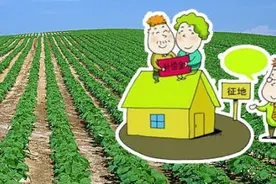 福建出台征地补偿办法！补偿费用分四类图片