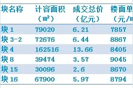 刚刚！万科底价通杀广州南站六地块图片