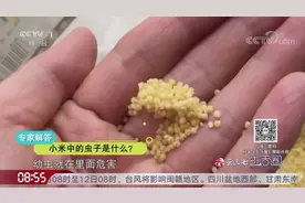 小米成团长虫还能继续食用，那怎样才能去除小米中的虫子？看一下