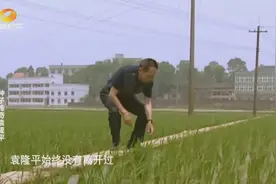 成功不是无缘无故的，袁隆平能成功，他身上有什么值得我们学习？