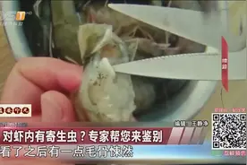 大虾体内白色条状物是虫？专家鉴别后辟谣说这东西挺补视频封面