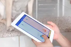 狗狗翻译器竟然真的可以🤭🤭太神奇了😱#萌宠 #宝宝处处有惊喜视频封面