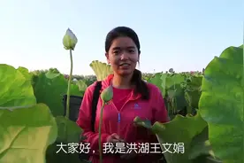 七月份的莲蓬成熟，挑莲蓬一定要挑嫩莲蓬，莲心都是甜的那种。视频封面