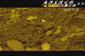 人们认为公园土堆是皇陵，施工时挖出碎陶片，还真引来了考古队视频封面